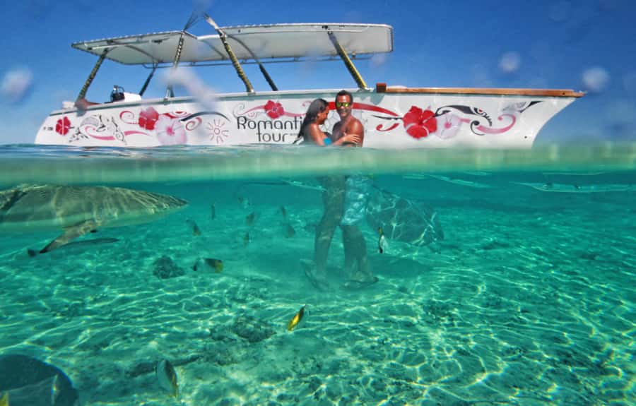 Bora Bora Luxury Tour and Beach Picnic - Snorkeling Comfort: What You Should Expect to Be Told