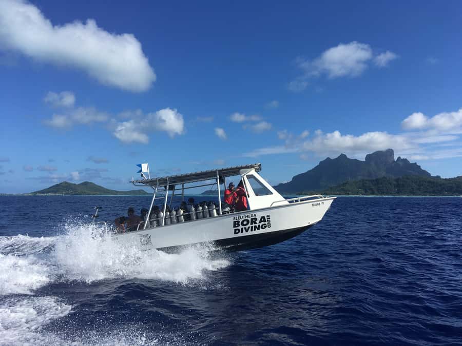 Bora Bora: Morning 2 tank dive for certified divers - Who this morning 2-tank scuba outing is perfect for
