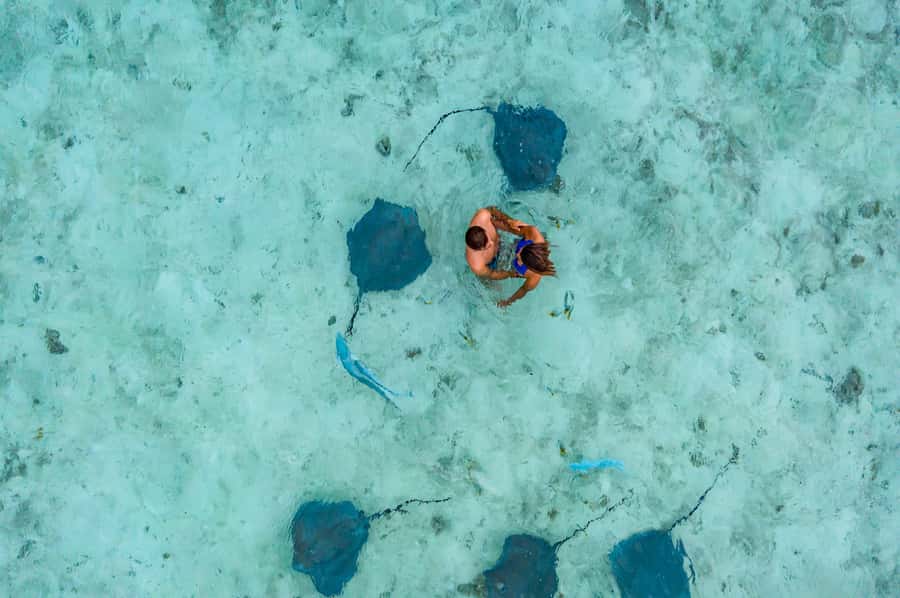 Bora Bora: Private Boat Tour with Snorkeling and Drinks - Lagoon Cruising: Beaches, Viewpoints, and the Captain’s Reef-Ready Route