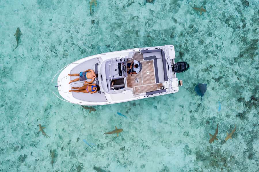 Bora Bora: Private Boat Tour with Snorkeling and Drinks - Getting Picked Up in Bora-Bora and Making Sense of the 3-Hour Window