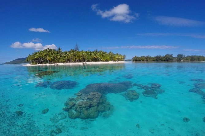 Bora Bora Private Lagoon Tours - Why This Private Lagoon Tour Feels Different