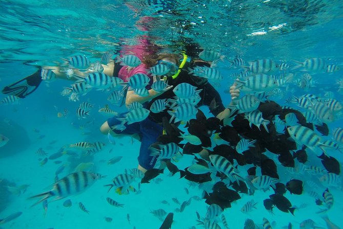 Bora Bora Private Lagoon Tours - The Main Stop: Bora Bora Lagoon Time, Labeled for Snorkeling and Whale Watching