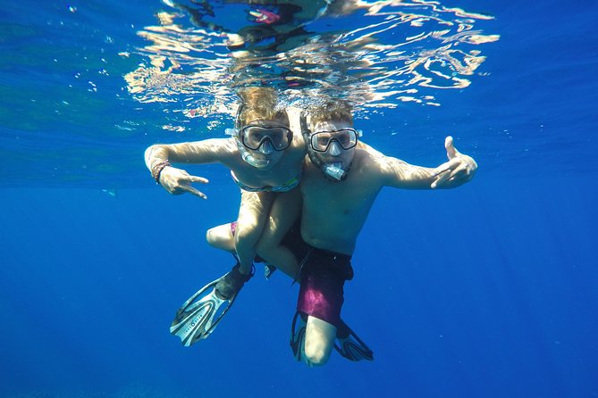 Bora Bora Private Lagoon Tours - Price and Value: $1,032.44 Per Group Up to 4
