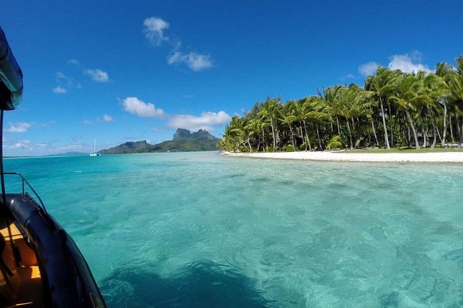 Bora Bora Private Lagoon Tours - What You Get: A Private Captain, Your Own Boat, and Time to Be Choosey