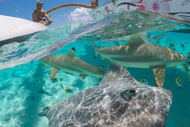 Bora Bora Snorkel Cruise by Polynesian Outrigger Canoe with BBQ Island Lunch - Why an outrigger canoe and lagoon snorkeling feels different here