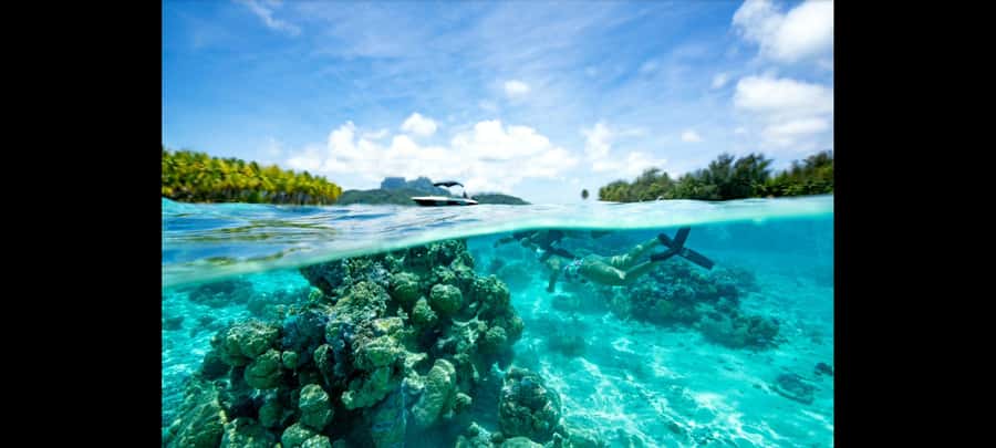 Bora Bora: Snorkeling and Fishing Tour with Lunch Option - Why This Bora Bora Snorkeling and Fishing Combo Works