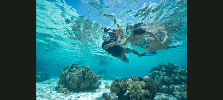 Bora Bora: Snorkeling and Fishing Tour with Lunch Option - Meeting on a Dock: Pickup, the Small Boat, and Timing