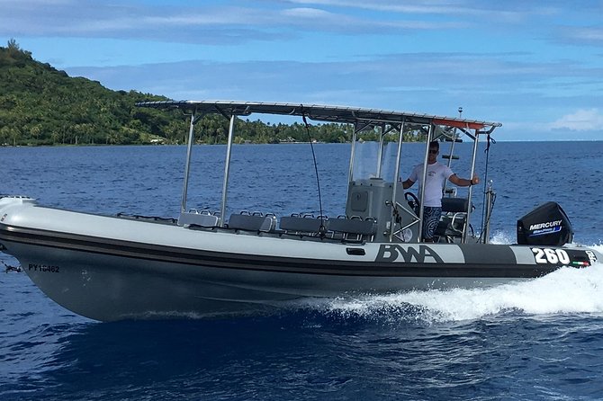 Bora Bora Whale Watching - Aquabike Adventure and the whale-finding rhythm on the water