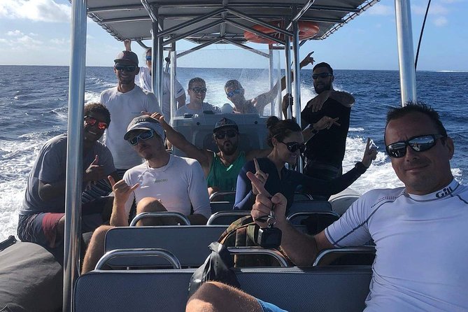 Bora Bora Whale Watching - When you can swim, and when you will be watching only