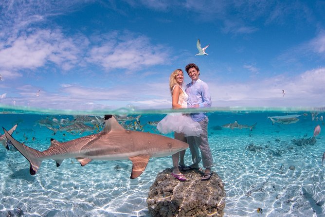 Combo Diving and Snorkeling Full Day Tour - What’s Included, What You’ll Pay For, and Why the Price Can Make Sense