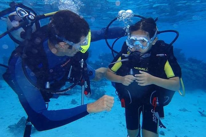 Combo Diving and Snorkeling Half-Day Tour - Key highlights you can actually feel on this tour