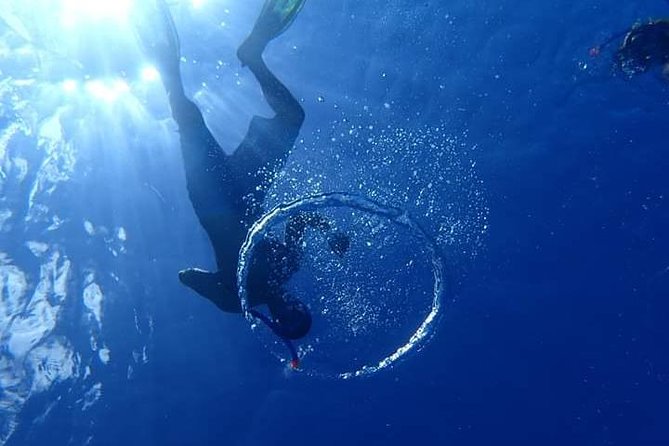 Combo Diving and Snorkeling Half-Day Tour - Value and price: $950 per group for up to 2 people