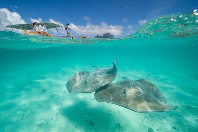 Combo snorkeling + motu lunch + jet ski group tour full day - First stop: sting rays and the feeling of the lagoon getting real