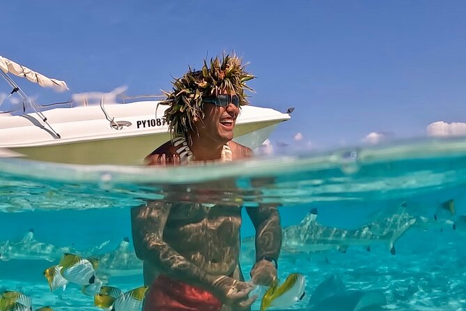 Crazy sea horse Bora Bora Comfortable boat, snorkeling and lunch - Price and value: what $200 buys on a Bora Bora half day