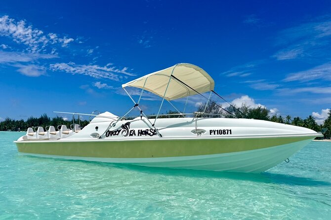 Crazy sea horse Bora Bora Comfortable boat, snorkeling and lunch - The comfortable jet boat ride: speed, sensation, and good organization