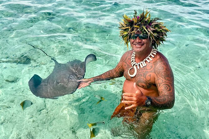 Crazyseahorseborabora Comfortable boat , sensational snorkeling . - Key highlights that make this snorkel outing worth your time