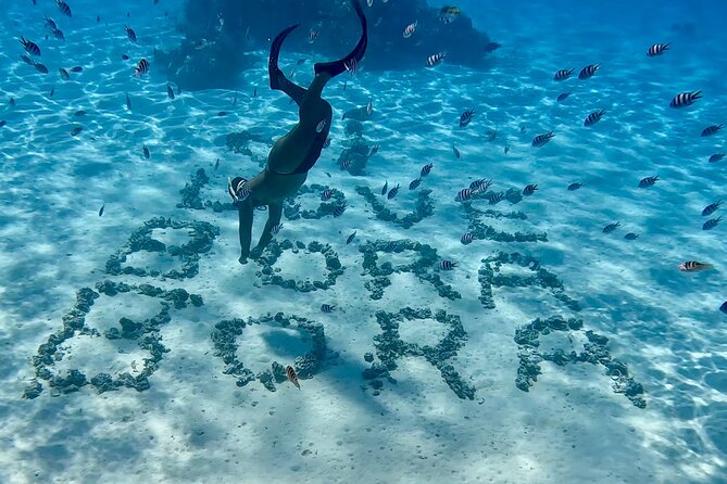 Crazyseahorseborabora Comfortable boat , sensational snorkeling . - Snorkeling stops: how shallow water boosts your chances of seeing rays and sharks