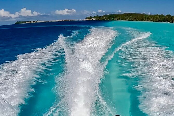 Crazyseahorseborabora Comfortable boat , sensational snorkeling . - Marine highlights: what to look for without losing the magic