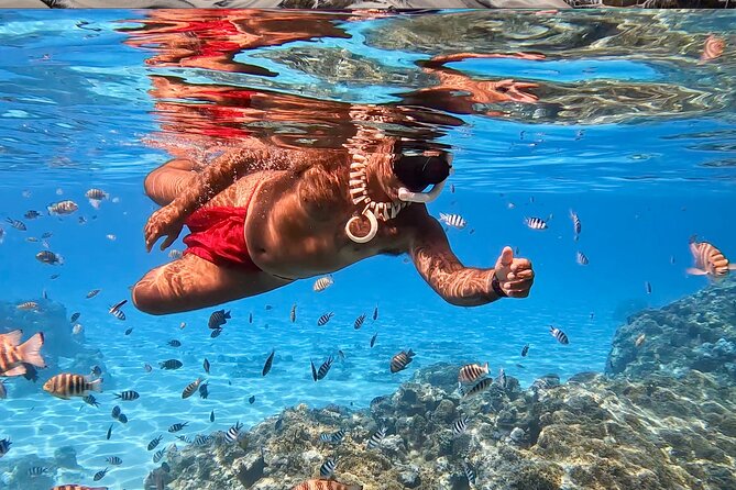 Crazyseahorseborabora Comfortable boat , sensational snorkeling . - Meeting the crew: pickup, dock timing, and small-group energy