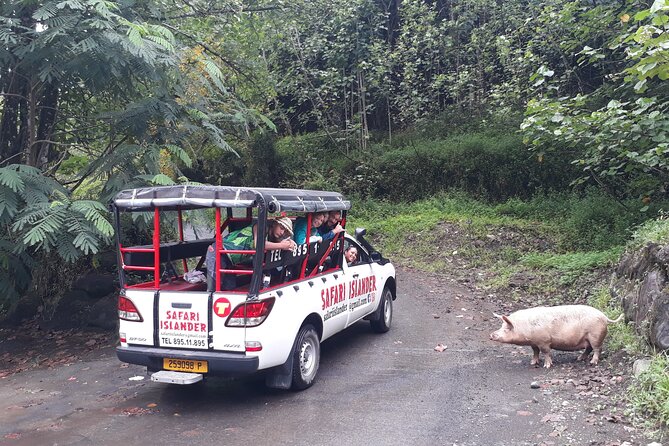 Crossing Island of Tahiti 4x4 Mountain, Waterfall, River, Basins - Weather and water: how the day changes