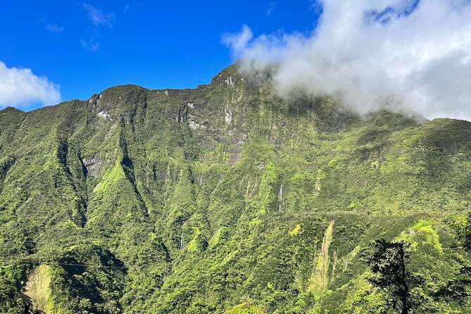 Crossing Over Tahiti Island Safari 4x4 - Archaeology and Local Flora: How the Guide Turns Stops Into Meaning