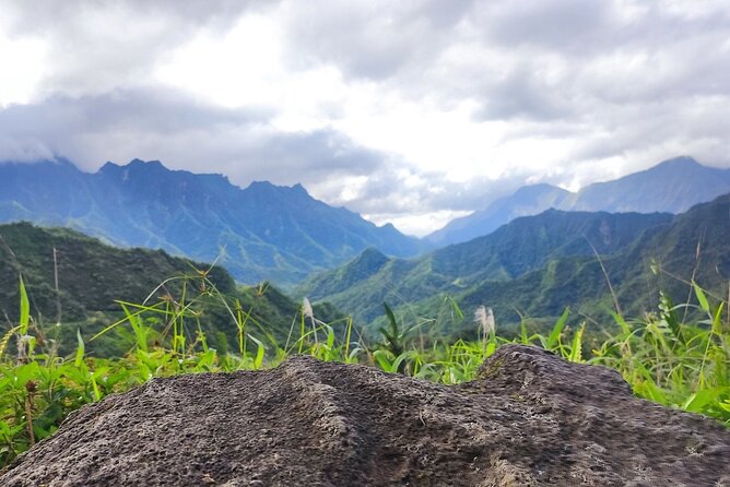 Crossing Over Tahiti Island Safari 4x4 - Who This Tour Fits Best (And Who Should Skip It)
