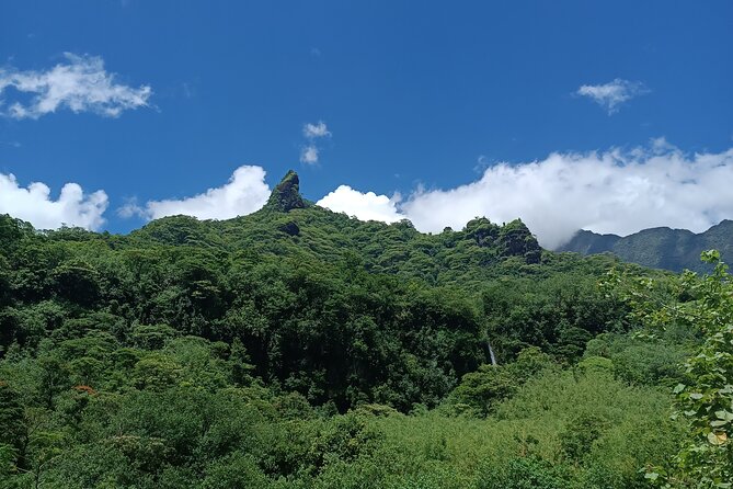 Découvrez le Mana durant la traversée de Tahiti en 4x4 Safari - The Swim Experience, and Why You Must Come Prepared