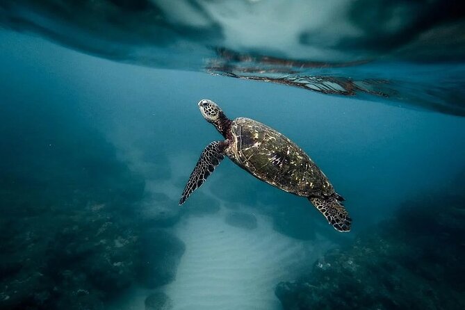 Discover the Beauty of Polynesian Waters by Boat and Snorkeling - The boat ride along the Tahitian coast