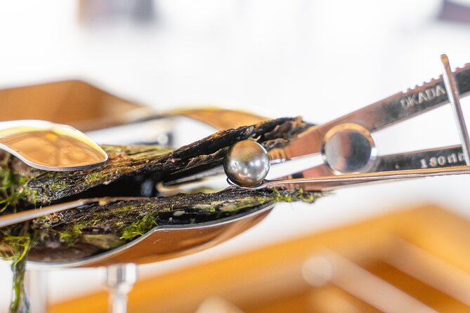 Discover the black pearl in Bora Bora - A black pearl in Bora Bora, made the Polynesian way
