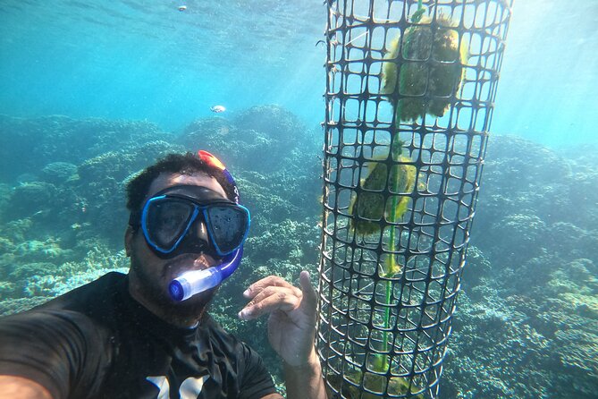 Discover the black pearl in Bora Bora - Choosing your oyster, then watching the reveal