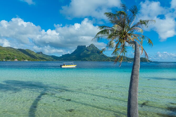 Discover the black pearl in Bora Bora - Mount Otemanu views, fruit tasting, and your take-home pearl
