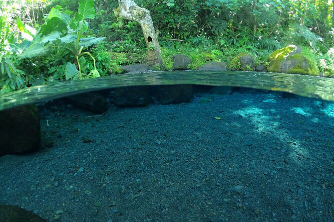 Discovering the emblematic sites of Tahiti - Weather, Waves, and Road Realities: How the Day Can Change