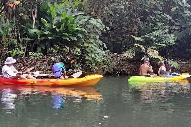 Discovery in Kayaking of the Faaroa River in Raiatea - Key things to know before you go
