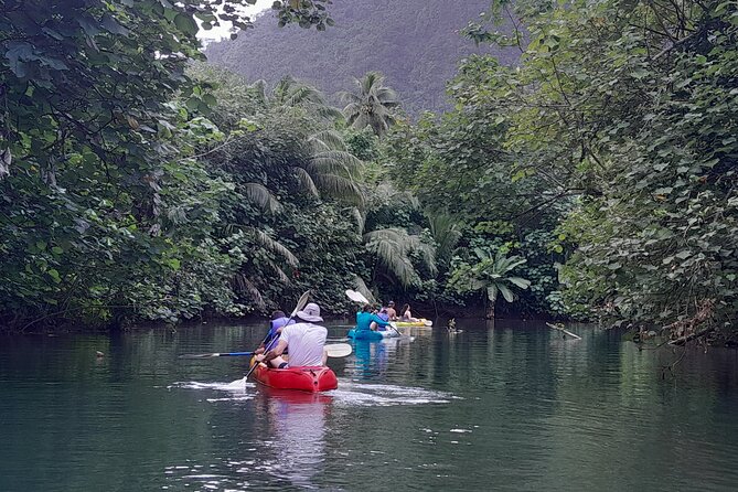Discovery in Kayaking of the Faaroa River in Raiatea - Why Kayak the Faaroa River on Raiatea Instead of a Sightseeing Cruise