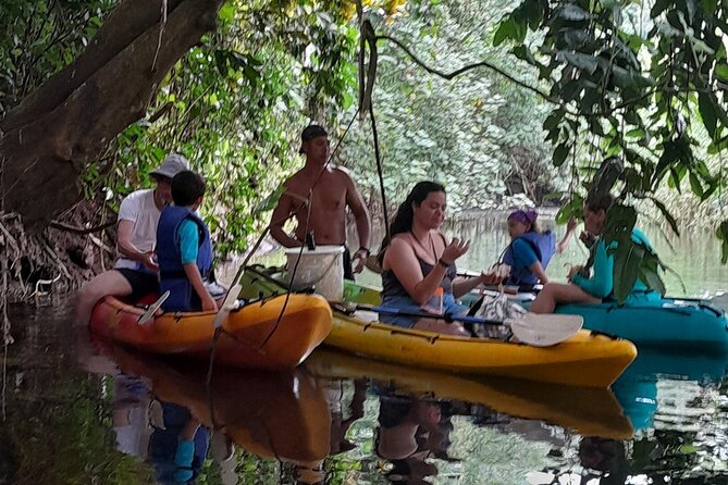 Discovery in Kayaking of the Faaroa River in Raiatea - How Hard Is It Really? Effort Level, Fitness, and Realistic Expectations