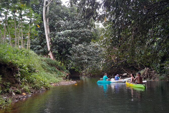 Discovery in Kayaking of the Faaroa River in Raiatea - Pickup, Mobile Tickets, and the One Thing to Watch: Confirmation