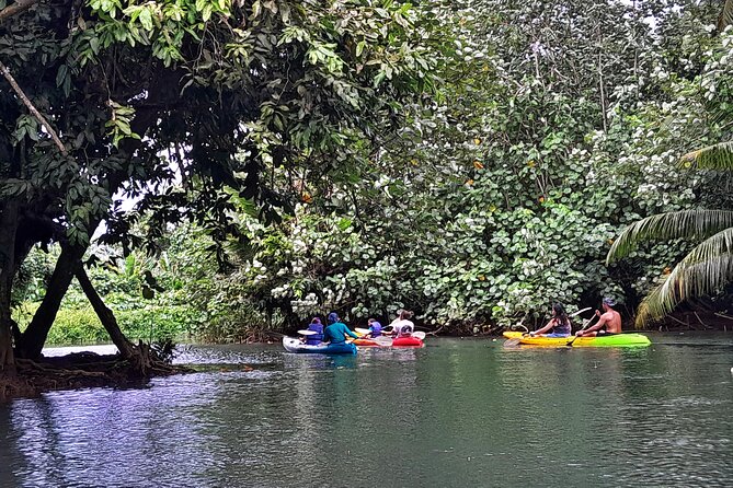Discovery in Kayaking of the Faaroa River in Raiatea - The 8:30 am Start at Taputapuapea (and Why It’s a Good Plan)