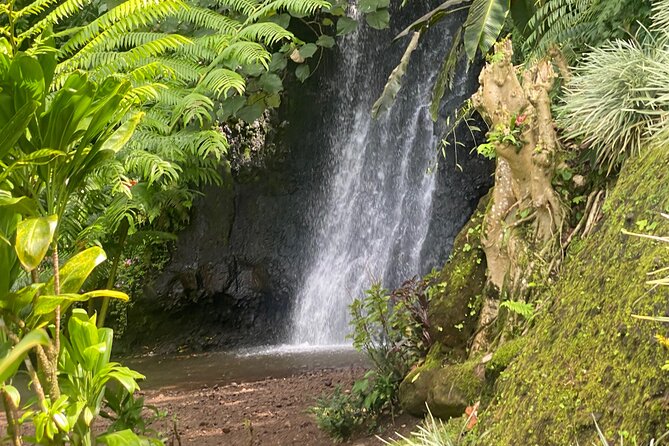 Discovery of Tahiti Nui Island - Tahiti Nui: the highlights that actually make the drive worth it