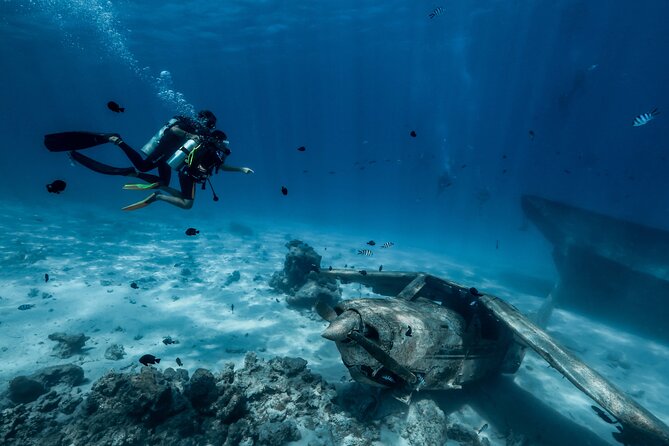 Diving initiation - Why Tahiti Makes a Great First Scuba Session