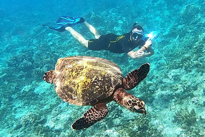 Diving initiation - Gear, Fit, and Instructor Care (Including When Equipment Feels Off)