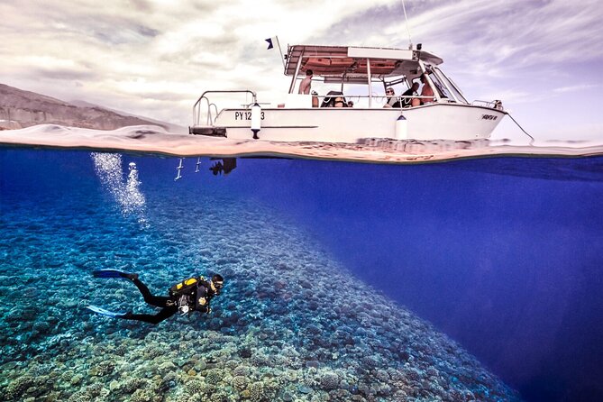 Double Diving Adventure Exploration for Certified Divers - Key highlights worth knowing before you go