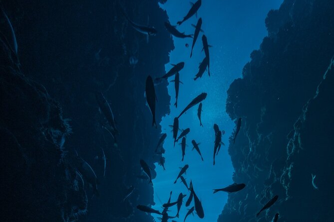 Double Diving Adventure Exploration for Certified Divers - Responsible practices, because you’re part of the ecosystem too
