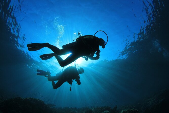 Double Diving Adventure Exploration for Certified Divers - Reef life you can hope to see (and how to frame it)