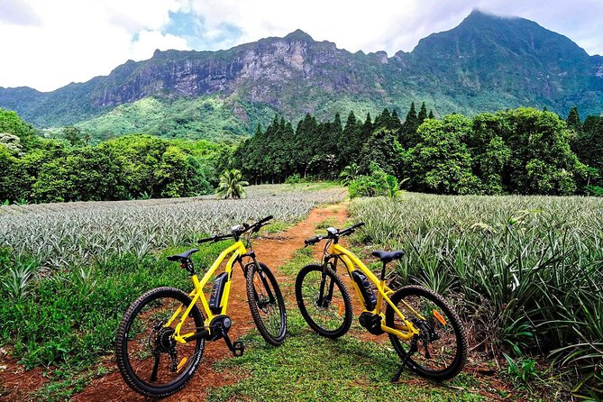 E-Bike Moorea Electric Bike Rental Moorea - Key Highlights at a Glance
