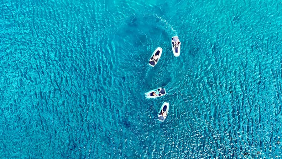 E-Board private tour of Moorea lagoon - Key things that make this E-board lagoon tour special