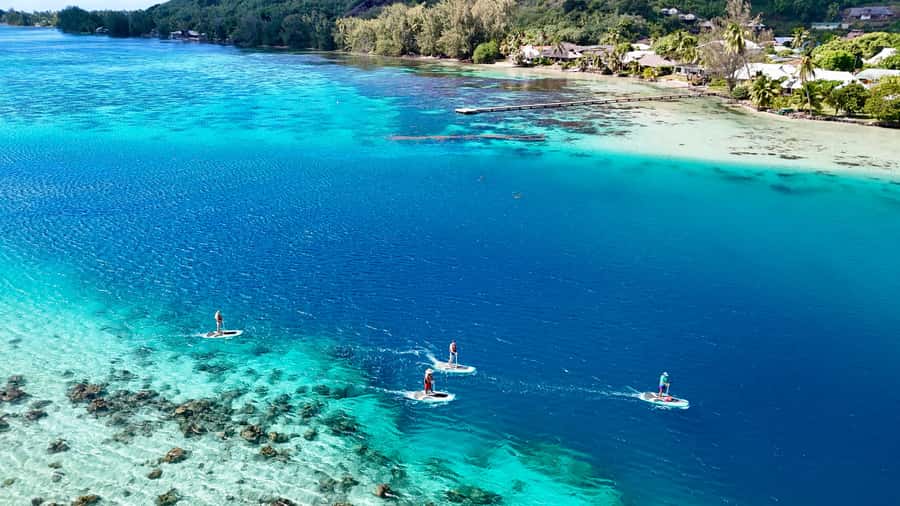 E-Board private tour of Moorea lagoon - Why an electric E-board is the smart way to see Moorea’s lagoon