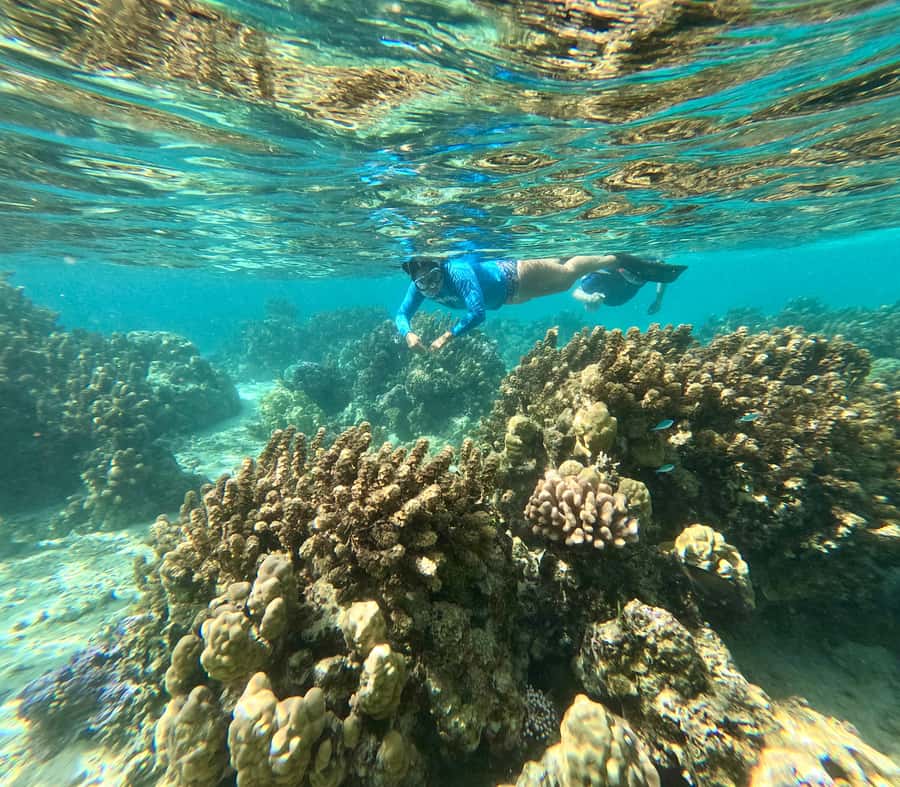 E-Board private tour of Moorea lagoon - What $95 per person gets you, and how to judge the value