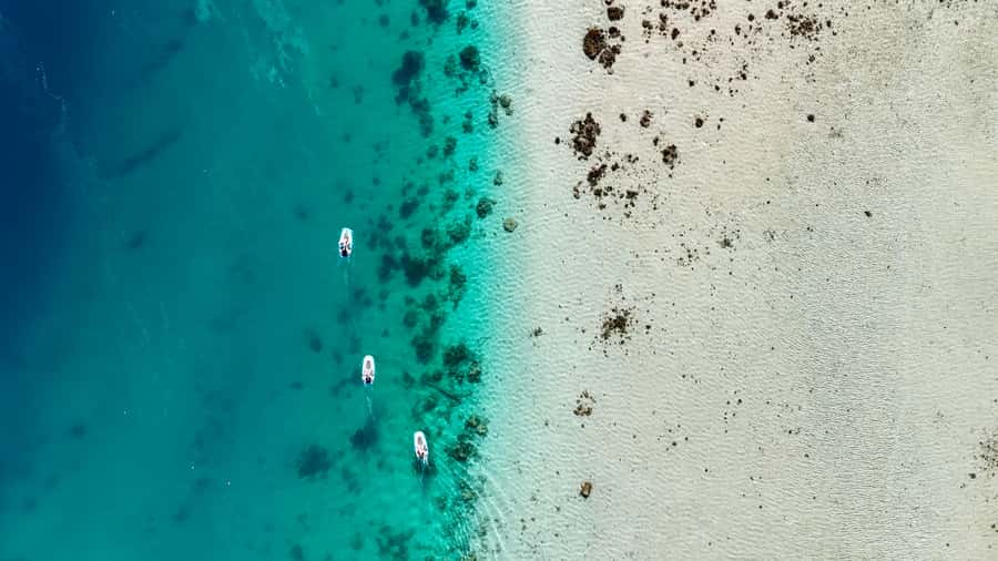 E-Board private tour of Moorea lagoon - Rules that keep the lagoon protected (and keep your tour smooth)