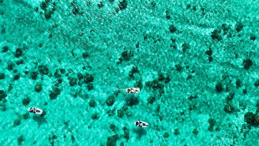 E-Board private tour of Moorea lagoon - Entering the water the right way, with a private guide who sets your pace