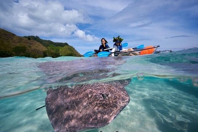 Eco guided excursion to the lagoon of Moorea in a transparent kayak Afternoon 2h - The 2-hour flow, from Plage de Tiahura to the sandbar motu break